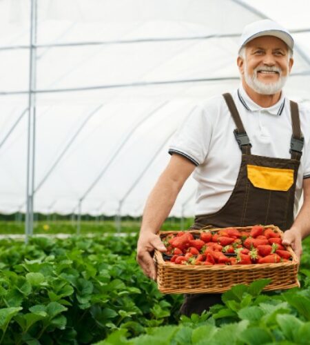 Agricultural Automation