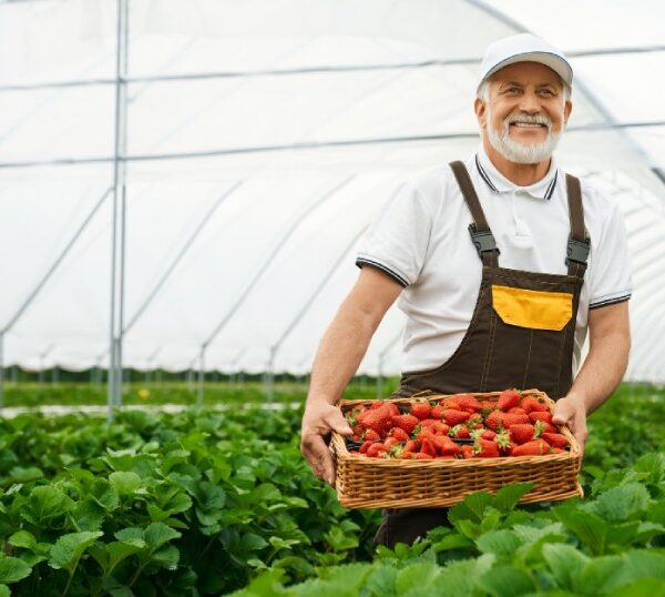 Agricultural Automation